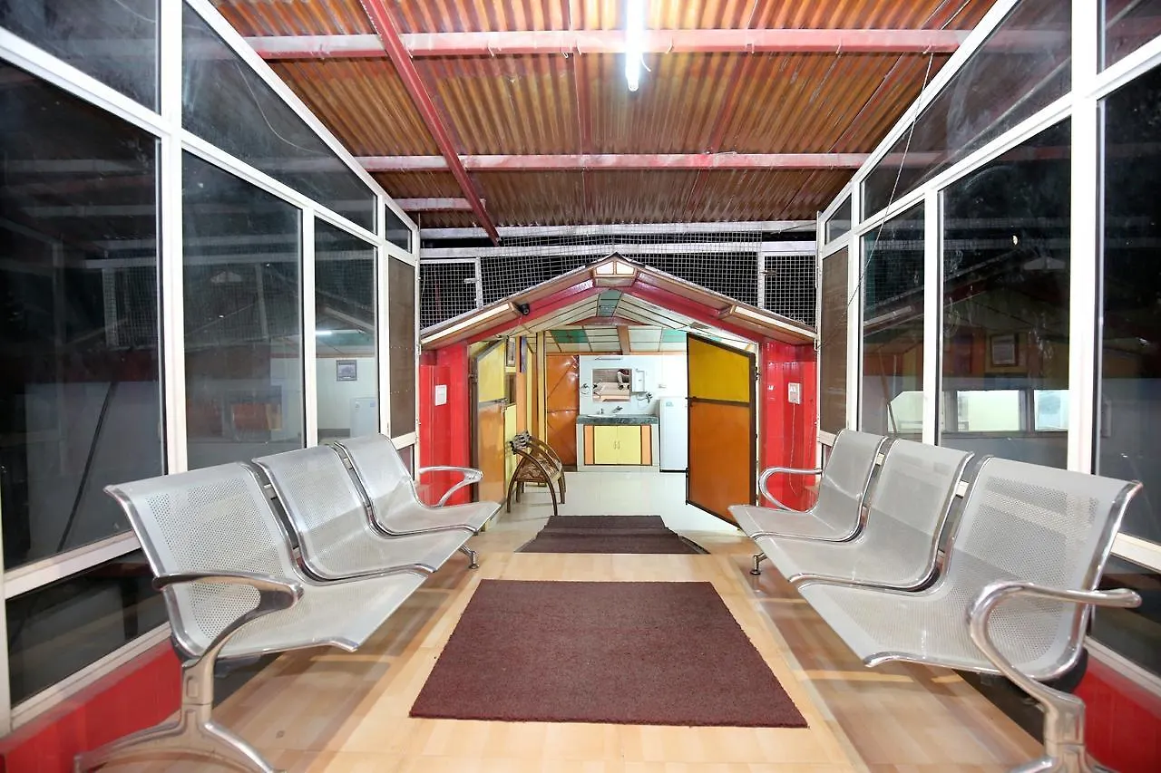 Breezy Home Stay In Shoghi Shimla